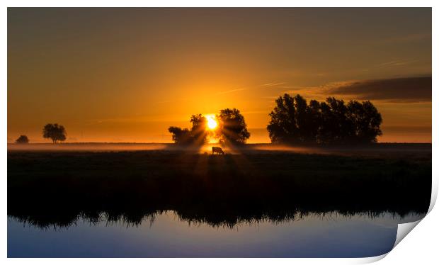 Dawn over the fens, Ely, Cambridgeshire Print by Andrew Sharpe
