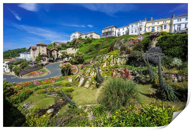 Ventnor Cascade Gardens, Isle of Wight Print by Andrew Sharpe