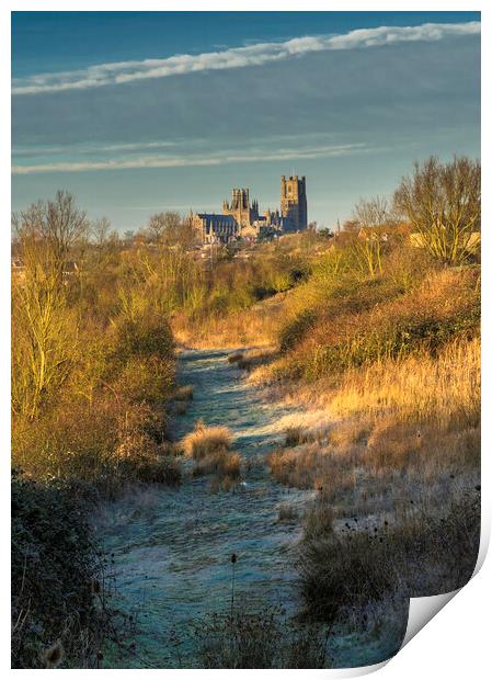 Ely Cathedral from Roswell Lakes, Cambridgeshrie Print by Andrew Sharpe