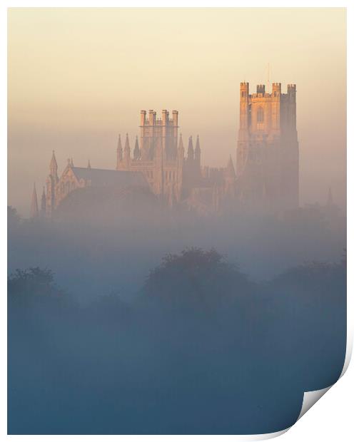 Ely Cathedral, from Roswell Lakes Print by Andrew Sharpe