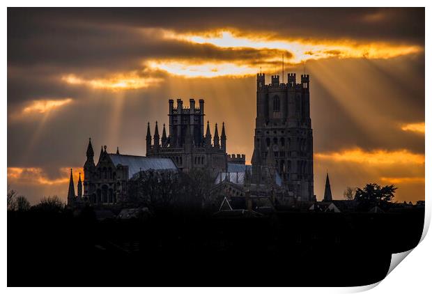 Ely Cathedral, from Roswell Pits, Cambridgeshire Print by Andrew Sharpe