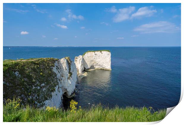 Old Harry Rocks, Dorset coast Print by Andrew Sharpe