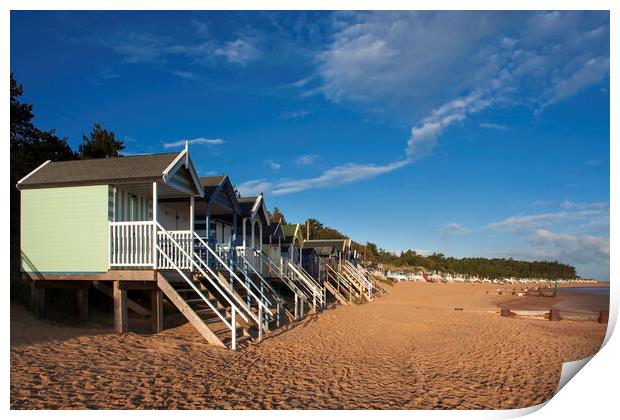 Beach-huts on Wells-next-the-Sea beach, North Norfolk coast Print by Andrew Sharpe