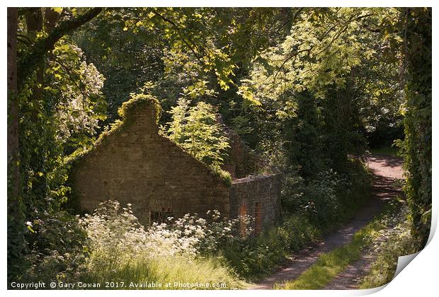 Overgrown Cottage Print by Gary Cowan