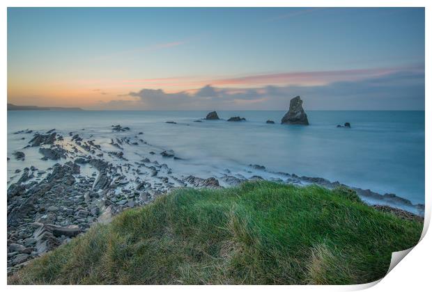 Grassy Ledge Print by Lee Saunders