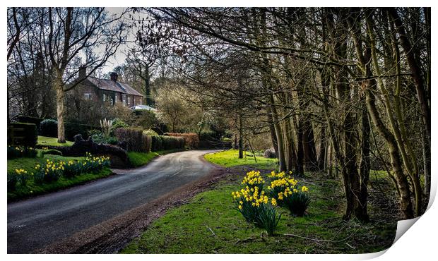 Little Bollington in Spring Print by chris east