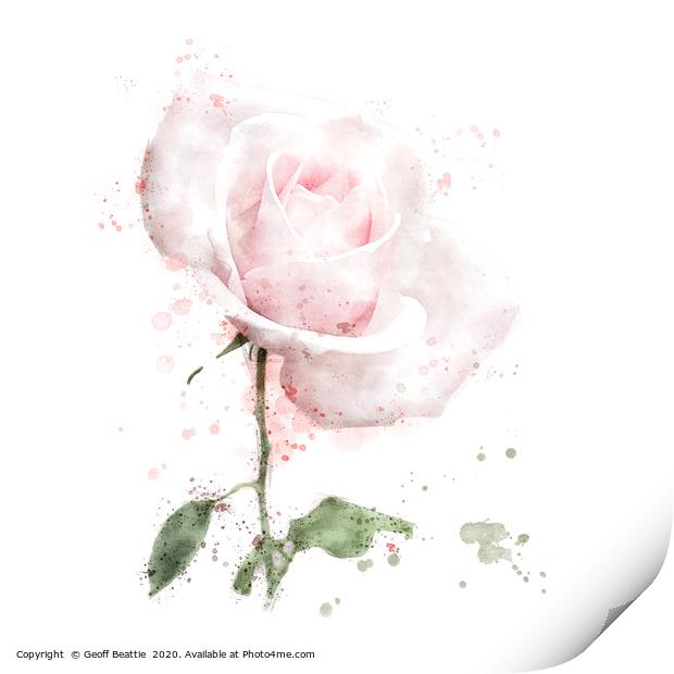 Pink rose in digital watercolour Print by Geoff Beattie