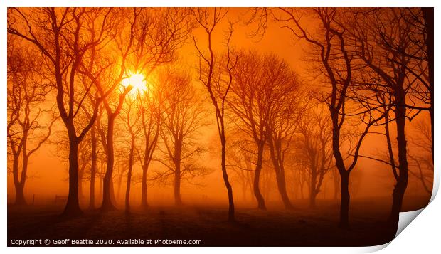 Misty woodland morning Print by Geoff Beattie
