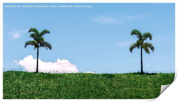 Two Solitary Palm Trees Standing on a Lush Green Hillside Against a Clear Blue Sky Print by Alexandre Rotenberg