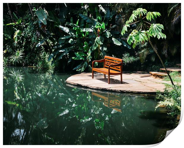 Bench in tropical forest Print by Alexandre Rotenberg