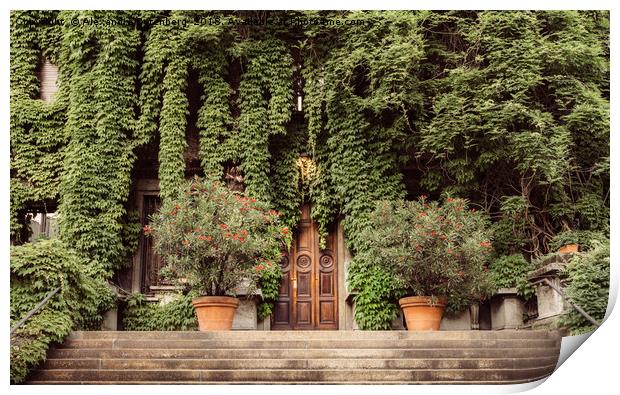 Foliage covered building Print by Alexandre Rotenberg