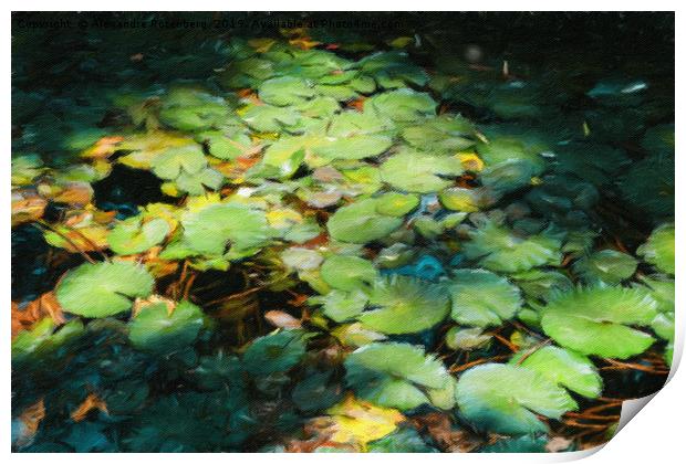 Water Lilies Monet Style Print by Alexandre Rotenberg