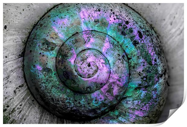 Weathered Spiral Print by Kelly Bailey