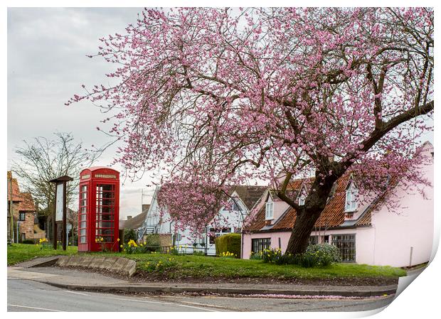 Phone box and the Cherry Tree Print by Kelly Bailey