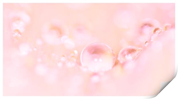 Pink Beads Print by Kelly Bailey