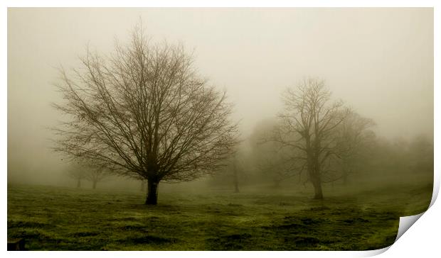 Tree in the Mist Print by Kelly Bailey