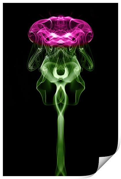 Smoke art Thistle Print by Donnie Canning