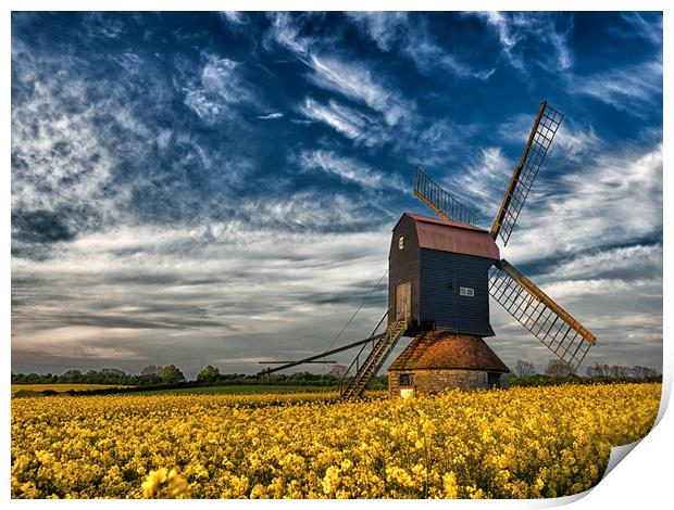 Stevington Windmill surrounded by Rapeseed at sunr Print by Donnie Canning