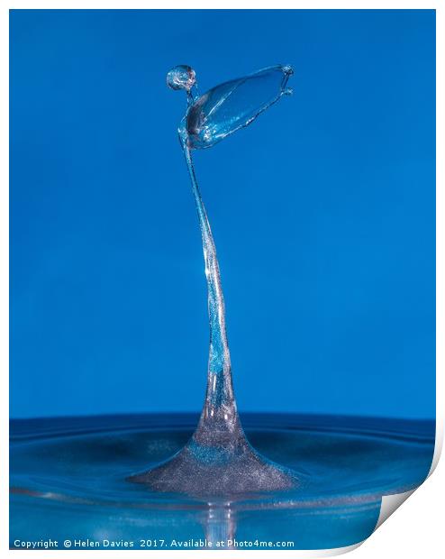 Blue silver angel water drop Print by Helen Davies