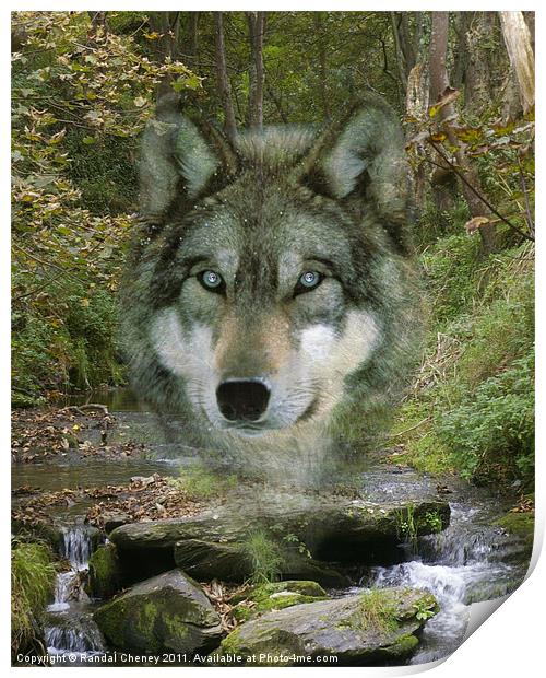 Wolf Spirit in The Rocky Valley Print by Randal Cheney