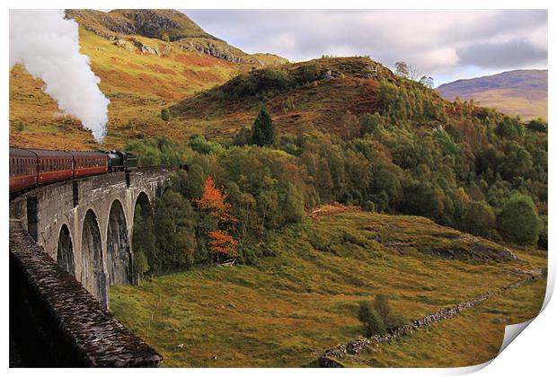 Steam train on Glenfinnan Viaduct Scotland Print by Linda More