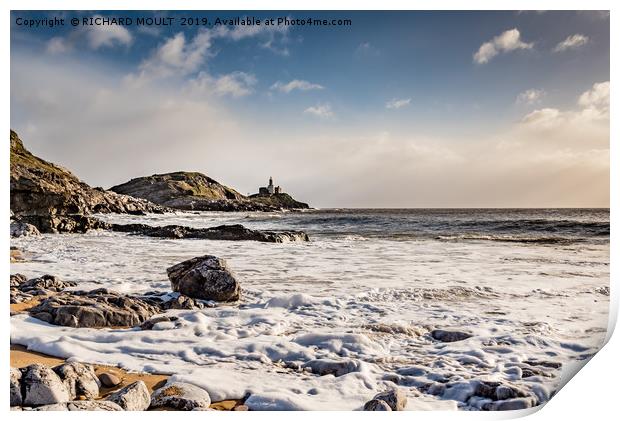 Mumbles Head Print by RICHARD MOULT