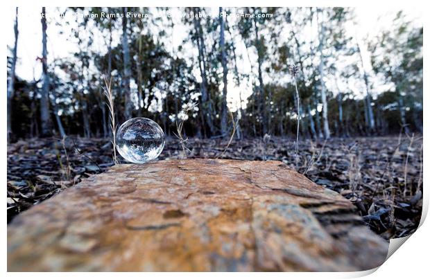 The forest in the crystal ball Print by Juan Ramón Ramos Rivero