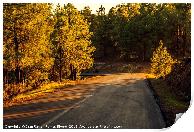 Mountain road between pines at sunset Print by Juan Ramón Ramos Rivero