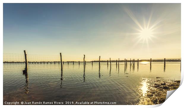 Wooden post and wire fence on a lake Print by Juan Ramón Ramos Rivero