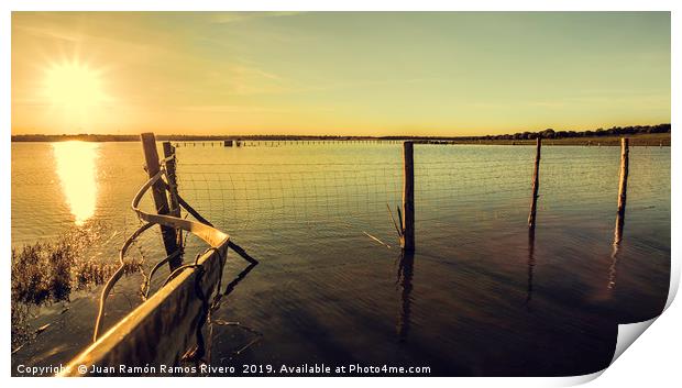 Wooden post inside the lake with reflections of su Print by Juan Ramón Ramos Rivero