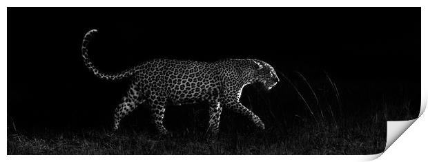 Dark leopard Print by Villiers Steyn