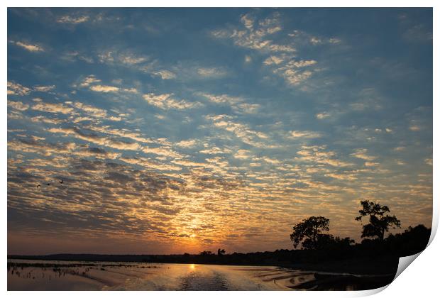 Chobe sunset Print by Villiers Steyn