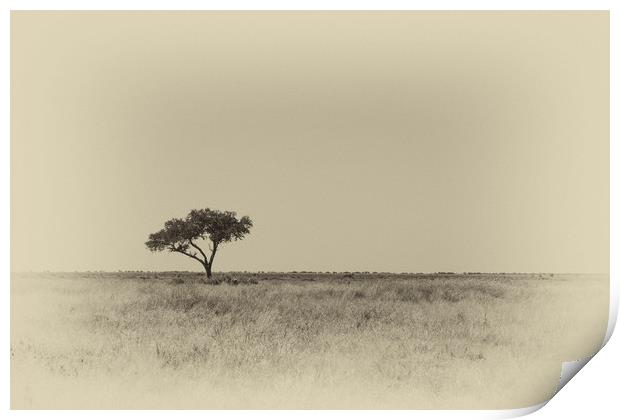 Isolated tree Print by Genevieve HUI BON HOA