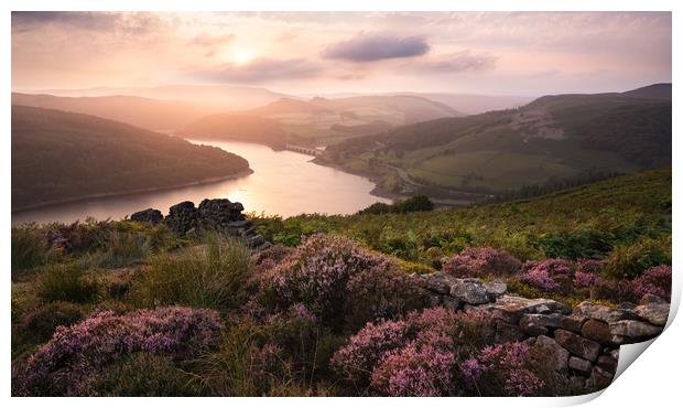 Golden Hour Heather Print by David Semmens