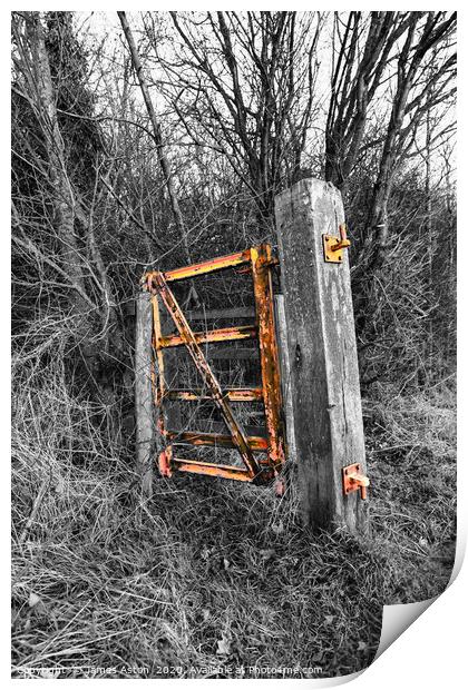 Rusty old gate of Stanion Lodge Ironstone Quarry Print by James Aston