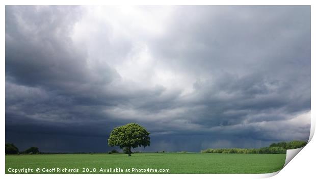 Lonely Tree -  angry sky Print by Geoff Richards