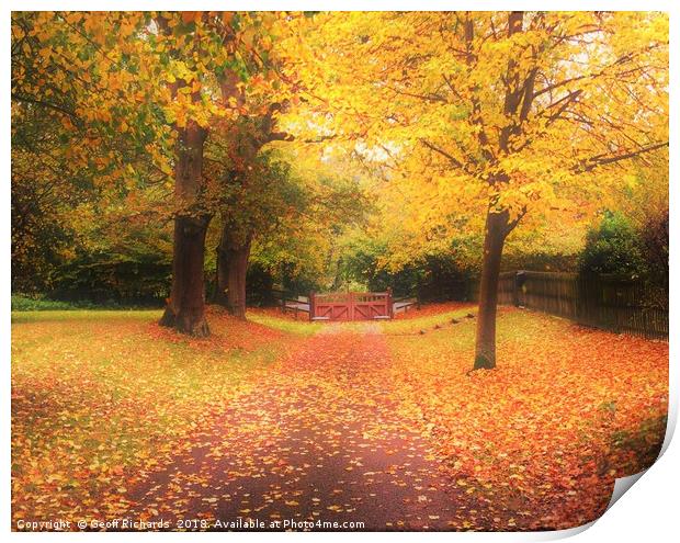 Autumn Leaves Print by Geoff Richards