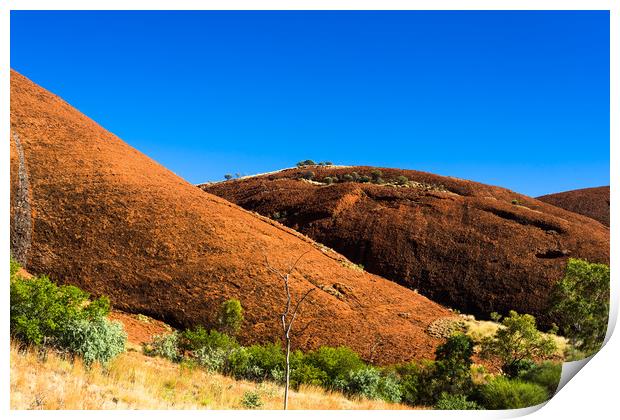 The Olgas (Kata Tjuta) Australia Print by Andrew Michael