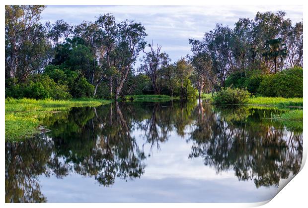 Flooded wetlands during the wet season Print by Andrew Michael