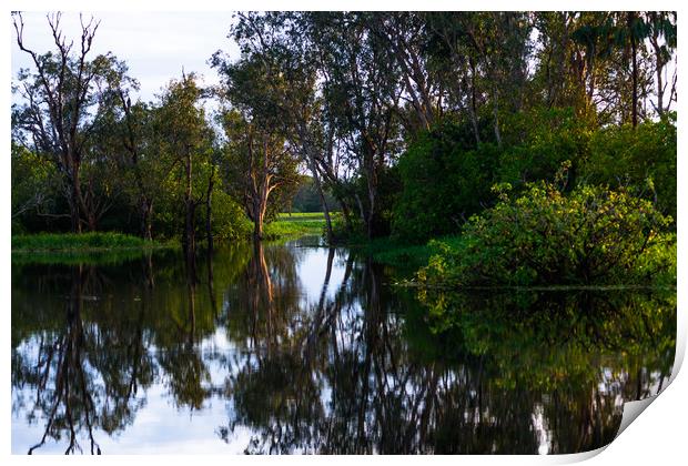 Kakadu National park Print by Andrew Michael