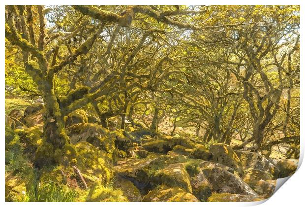 Wistman's Wood Dartmoor Print by Andrew Michael