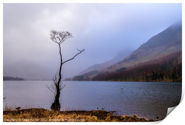 The loan tree and the duck Print by Claire Turner