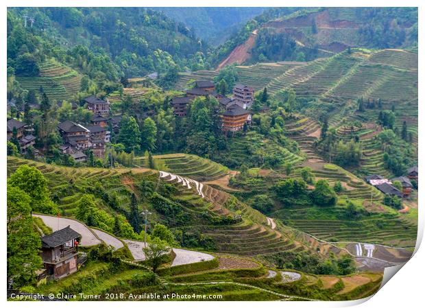 Dragon Backbone's Rice Terraces Print by Claire Turner