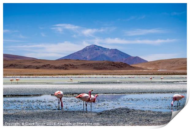 Bolivian wilderness Print by Claire Turner