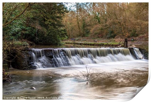 River Frome at Snuff Mills Print by Claire Turner