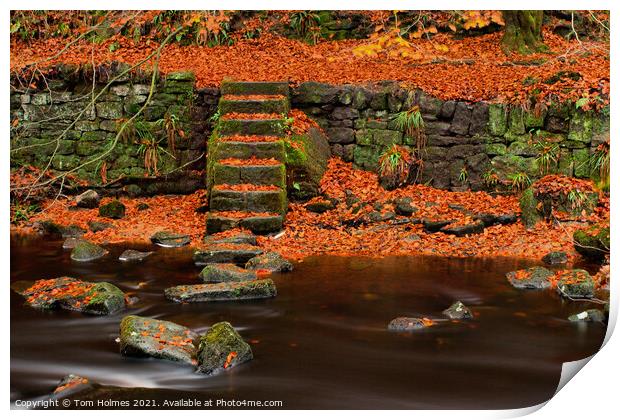 Autumn On The River Side Print by Tom Holmes