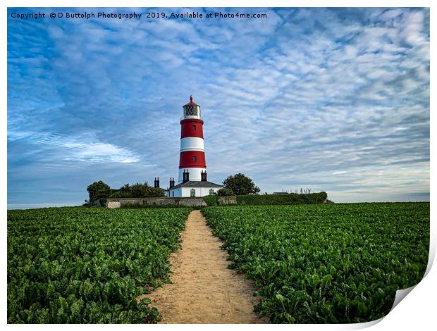 Happisburgh lighthouse Norfolk  Print by D Buttolph Photography