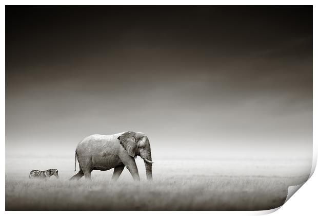 Elephant with zebra (Artistic processing) Print by Johan Swanepoel