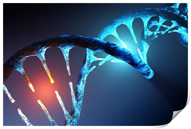 DNA strand Print by Johan Swanepoel