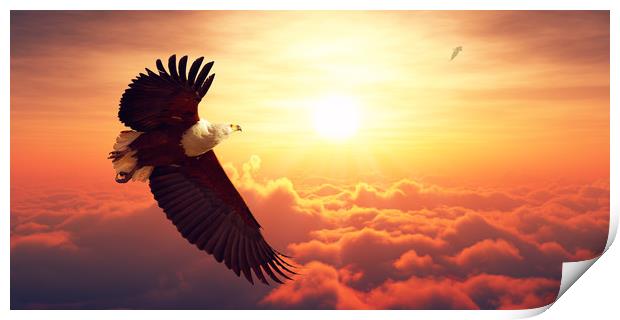 African Fish Eagle flying above clouds Print by Johan Swanepoel